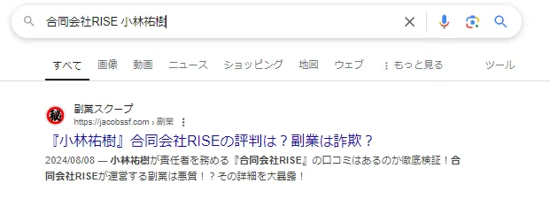 合同会社RISEという副業サイトの画像