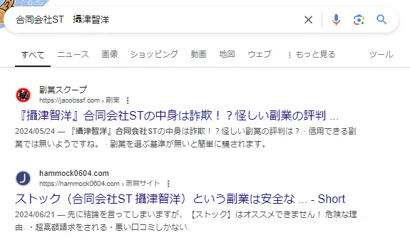 合同会社STという副業サイトの画像