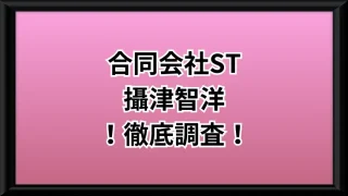 合同会社STという副業サイトのサムネイル