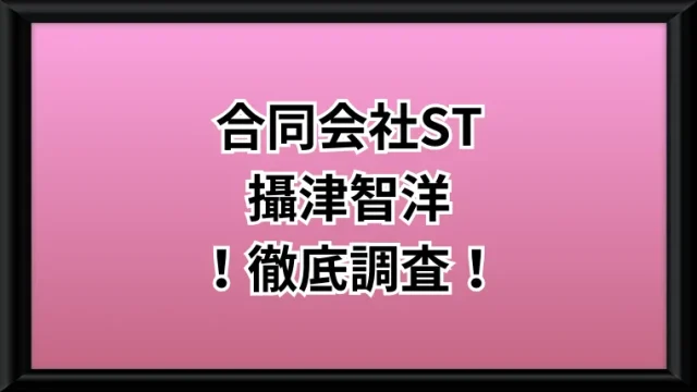 合同会社STという副業サイトのサムネイル