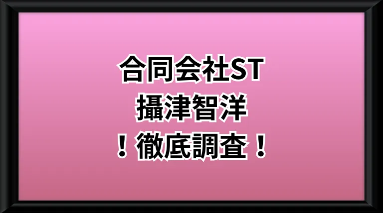 合同会社STという副業サイトのサムネイル