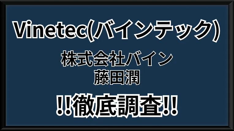 Vinetecの記事画像、サムネイル